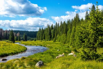 Alles Inklusive im Bayerischen Wald