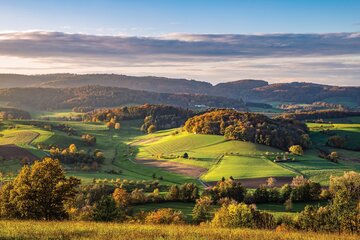 Gänseschmaus im Odenwald