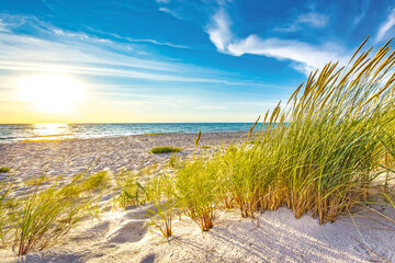Urlaub am Weissenhäuser Strand