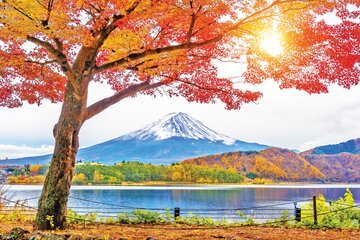 Japan - Faszination Fernost