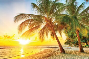 Sri Lanka - Perle des Indischen Ozeans