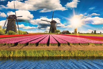 Zur Tulpenblüte nach Holland