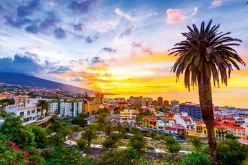 Teneriffa – Eine Trauminsel im Atlantik