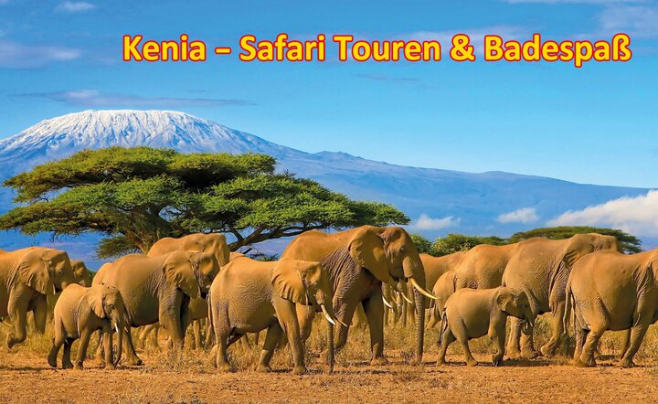 Flugreise-Angebot: Kenia - Safari Touren & Badespaß
