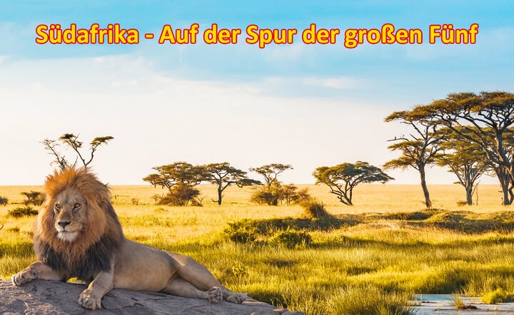 Südafrika - Auf der Spur der großen Fünf