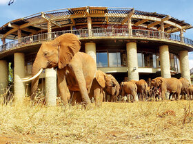 Kenia - Safari Touren & Badespaß