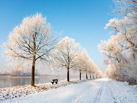 Winterzauber auf dem Rhein (A-ROSA BRAVA)