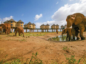 Kenia - Safari Touren & Badespaß