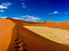 Die Höhepunkte Namibias entdecken!