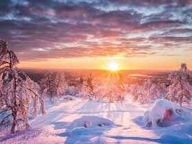 Magische Winterreise nach Schwedisch Lappland