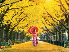 Japan - Faszination Fernost