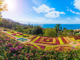 Blumeninsel Madeira