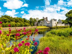 Irland zum Bestpreis