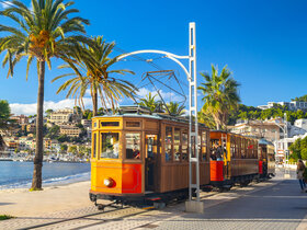 Mallorca zur schönsten Blütezeit