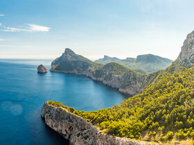 Mallorca zur schönsten Blütezeit
