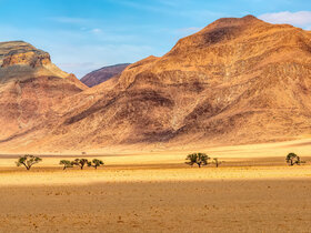 Die Höhepunkte Namibias entdecken!