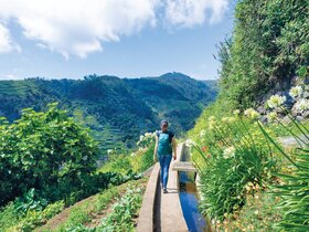Blumeninsel Madeira