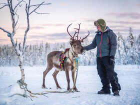 Erlebnisreiche Eiskreuzfahrt Finnland 2027 (Finnlines)
