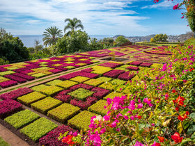 Blumeninsel Madeira