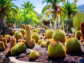 Gran Canaria - Urlaub auf der Sonneninsel