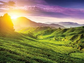 Singapur & Malaysia - Schmelztiegel der Kulturen