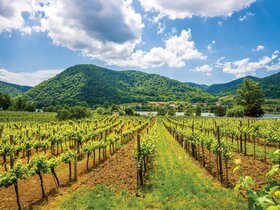 Schöne blaue Donau (MS A-Silver)