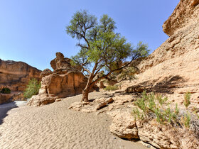 Die Höhepunkte Namibias entdecken!