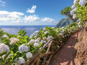Azoren Inselhüpfen - Naturgenuss im Atlantik
