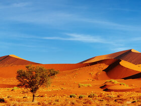 Die Höhepunkte Namibias entdecken!