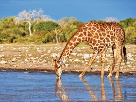 Den Süden Afrikas und Mauritius entdecken