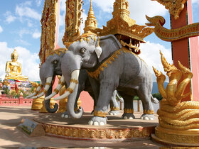 Thailand - Höhepunkte des Nordens