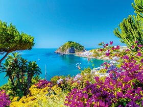 Capri, Neapel, Amalfiküste & Ischia erleben