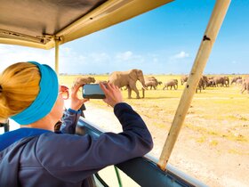 Den Süden Afrikas und Mauritius entdecken