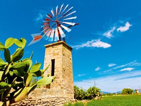 Mallorca zur Blütezeit