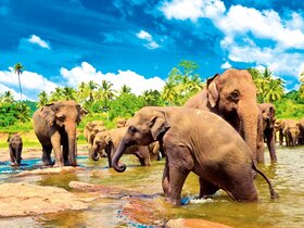 Sri Lanka - Perle des Indischen Ozeans