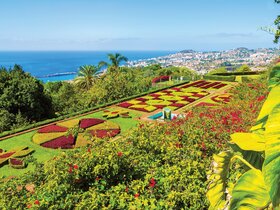 Blumeninsel Madeira
