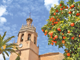 Andalusien - Das Feuer Spaniens erleben