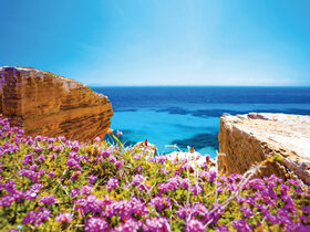 Sizilien - Die Perle im Mittelmeer