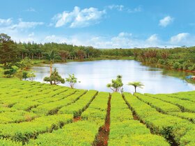 Den Süden Afrikas und Mauritius entdecken