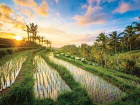 Bali - Insel der Götter und Träume