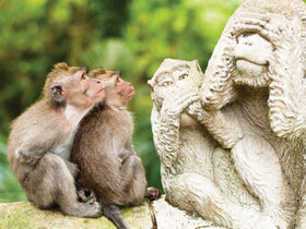 Bali - Insel der Götter und Träume