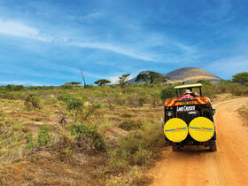 Kenia - Safari Touren & Badespaß
