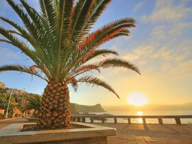 Blumeninsel Madeira