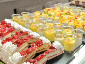 Mallorca zur schönsten Blütezeit