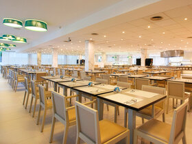 Mallorca zur schönsten Blütezeit