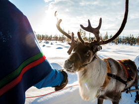 Magische Winterreise nach Schwedisch Lappland