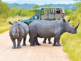 Den Süden Afrikas und Mauritius entdecken