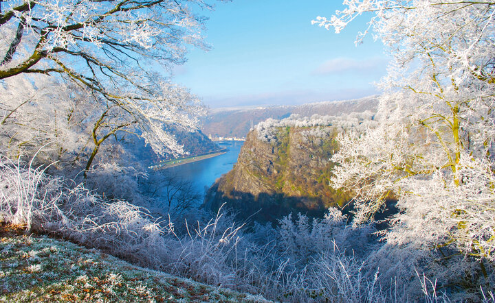 Winterzauber auf dem Rhein (A-ROSA BRAVA)