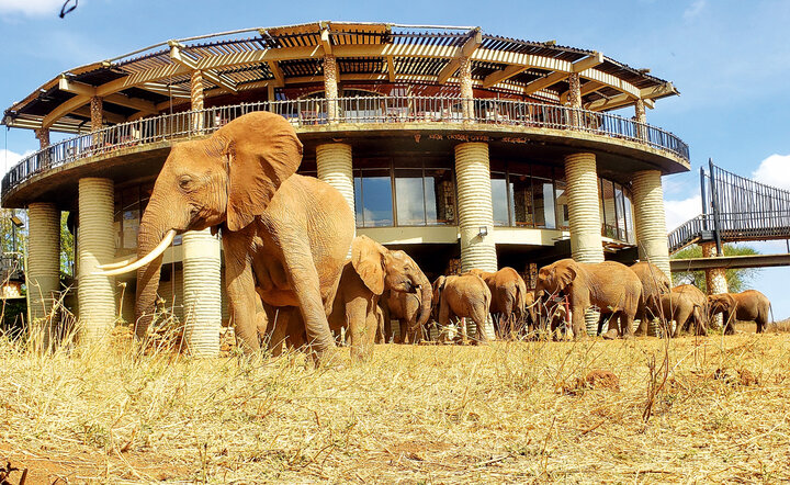 Kenia - Safari Touren & Badespaß