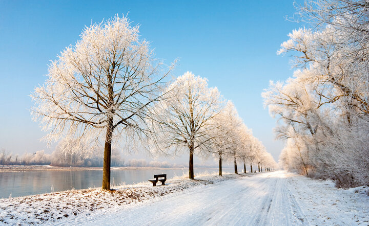 Winterzauber auf dem Rhein (A-ROSA BRAVA)